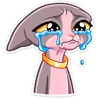 😭 Katze, weinen, traurig, Emoji, Sticker, Haustier, Sphynx whatsapp sticker