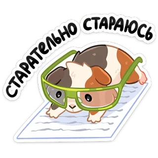 🤓 СТАРАТЕЛЬНО СТАРАЮСЬ conejillo de indias, gafas, lindo, animal, escritura telegram sticker