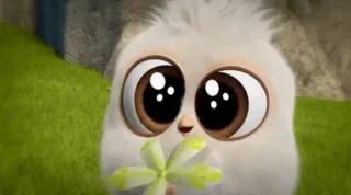 🌿 птица, цветок, милый, животное telegram sticker