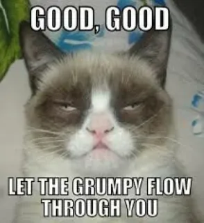 😂 Grumpy Cat GOOD, GOOD
LET THE GRUMPY FLOW
THROUGH YOU 臭脸猫, 表情包, 猫, 生气, 网络迷因, 搞笑 whatsapp sticker