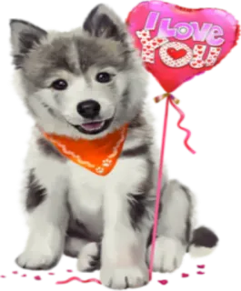 ❤ I Love You Hund, Welpe, Liebe, Ballon, Herz, Haustier, süß telegram sticker