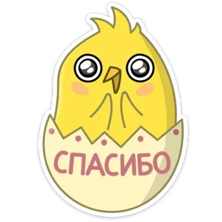 ☺️ СПАСИБО kurczak, dziękuję, rosyjski, słodki, zwierzę, wielkanoc telegram sticker