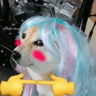 🐕 강아지, 귀여운, 가발, 볼터치, 밈, 이모티콘 whatsapp sticker