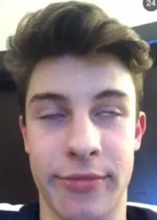 🙄 Shawn Mendes shawn mendes, celebrity, singer, person, musician telegram sticker