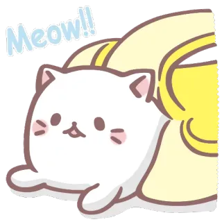 🐈 Meow!! mèo, mèo con, dễ thương, chuối, động vật, thú cưng telegram sticker