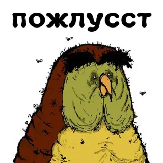 🥺 ПОЖЛУССТ pássaro, animal, coruja, texto russo whatsapp sticker
