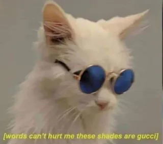 🎩 words can't hurt me these shades are gucci gatto, occhiali da sole, Gucci, divertente, meme, animale telegram sticker
