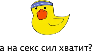 🙈 duck, cartoon, animal, athletic, exercise, cute telegram sticker