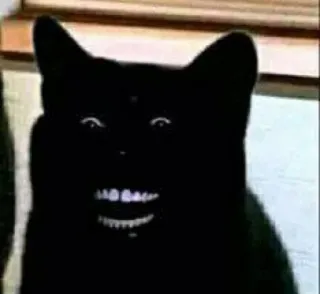 🌚 cat, black cat, scary, animal, creepy, meme telegram sticker