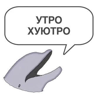 ☀️ УТРО ХУЮТРО delfín, bocadillo, mañana, grosero, jerga, ruso whatsapp sticker