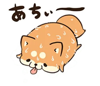 🐶 あちい Hund, schwitzen, heiß, Shiba Inu, Tier, Cartoon, erschöpft telegram sticker
