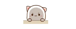😾 かわいい, 猫, 怒り, カワイイ, 動物 telegram sticker