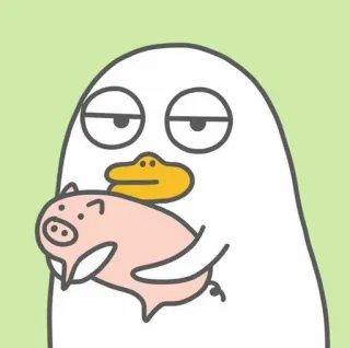 🌟 duck, pig, cute, cartoon, animal, kawaii telegram sticker