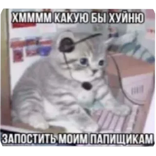 🐱 Хмммм какую бы хуйню
Запостить моим папищикам 猫, 冒犯, 表情包, 俄语, 网络 whatsapp sticker