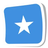 🇸🇴
