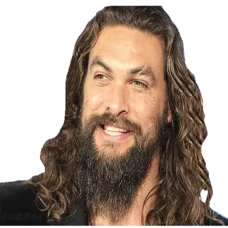 😬 Jason Momoa Jason Momoa, actor, celebridad, Aquaman, barba, pelo telegram sticker