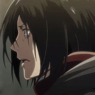 🥀 Mikasa Ackerman Attack on Titan Mikasa, anime, attack on titan, manga, character, girl telegram sticker
