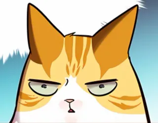 🐈 gato, animal, mascota, lindo, gracioso, meme telegram sticker