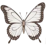 🦋