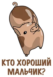 😍 КТО ХОРОШИЙ МАЛЬЧИК? cerdo, animal, dibujos animados, lindo, ruso, texto, quién es un buen chico whatsapp sticker