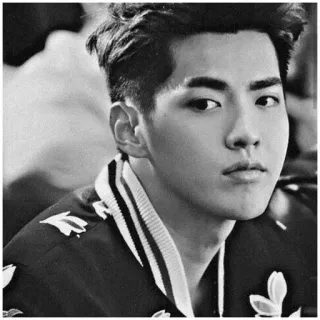 ➰ Kris Wu คริสวู, นักร้อง, นักแสดง, นางแบบ, คนดัง, ภาพเหมือน telegram sticker