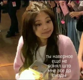 🤧 ты наверное еще не понял што мне все до пизды russe, texte, mème, offensant telegram sticker