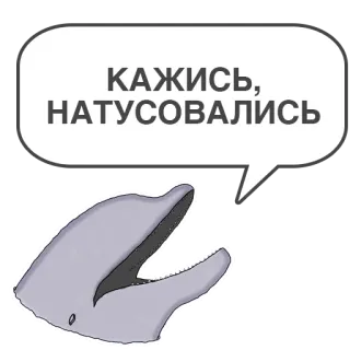 🤷‍♂️ КАЖИСЬ, НАТУСОВАЛИСЬ delfín, burbuja, animal, mamífero, mar whatsapp sticker