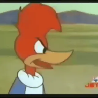 😳 Woody Woodpecker kreskówka, Woody Woodpecker, śmieszne, ptak, animacja whatsapp sticker