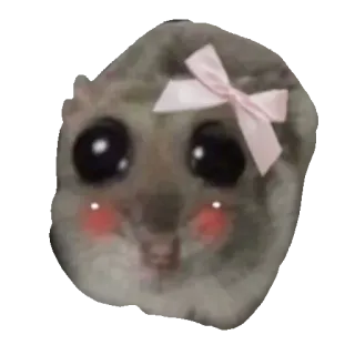 🥺 mouse mouse, cute, bow, blushing, meme, animal telegram sticker