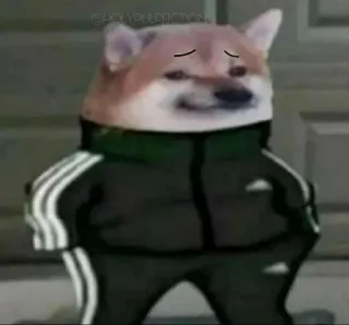 ☹️ Doge doge, 강아지, 밈, 아디다스, 츄리닝 telegram sticker