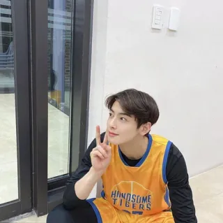 🐝 HANDSOME TIGERS baloncesto, camiseta, tigres guapos, deportes, ropa, interior whatsapp sticker