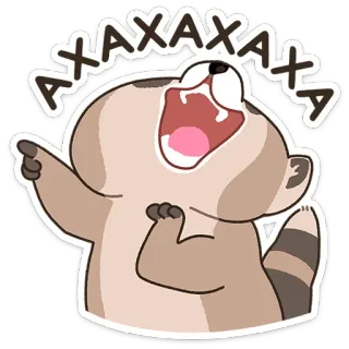 😔 AXAXAXAXA rakun, hewan, stiker, tertawa, kartun, imut whatsapp sticker