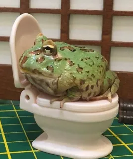 🤢 grenouille, toilette, animal, vert, amphibien whatsapp sticker