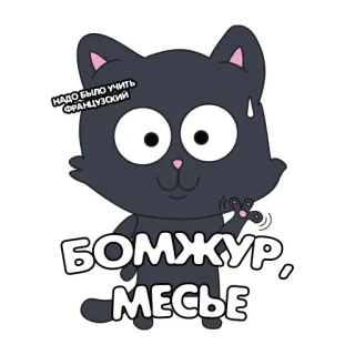 👋 НАДО БЫЛО УЧИТЬ ФРАНЦУЗСКИЙ
БОМЖУР, МЕСЬЕ gatto, russo, adesivo, divertente, cartone animato, saluto, meme telegram sticker