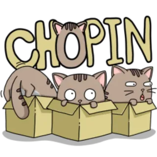 Chopin fat cat @StikerDi whatsapp stickers