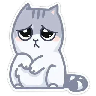 👅 cat telegram sticker