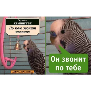 😉 Эрнест Хемингуэй
По ком звонит колокол
Он звонит по тебе vogel, papegaai, bel, Ernest Hemingway, literatuur, boektitel telegram sticker