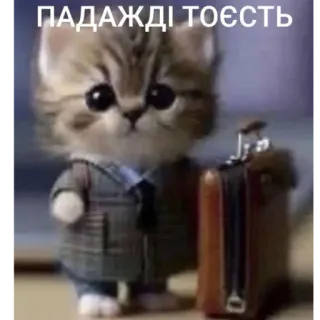 🤓 business cat ПАДАЖДІ ТОЄСТЬ whatsapp sticker