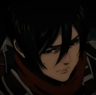 💡 Mikasa Ackerman Attack on Titan Anime, Karakter, Mikasa, Attack on Titan, AoT telegram sticker