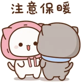 😝 注意保暖 고양이, 귀여운, 카와이, 겨울, 추운 whatsapp sticker