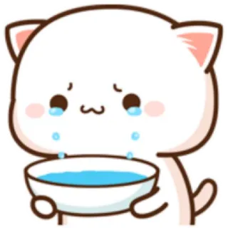 🐼 кот, милый, грустный, плачущий, миска, слезы, животное telegram sticker