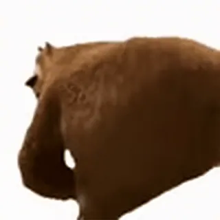 😋