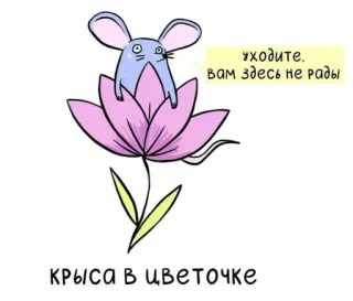😑 уходите.
вам здесь не рады
КРЫСА В ЦВЕТОЧКЕ мышь, цветок, мультфильм, милый, животное, иллюстрация whatsapp sticker