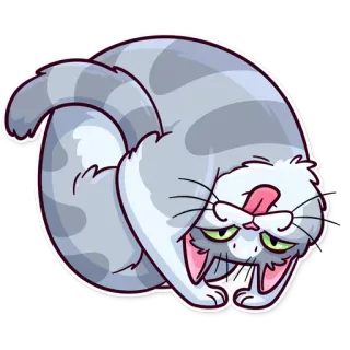 🙃 cat, cute, cartoon, animal, sticker telegram sticker