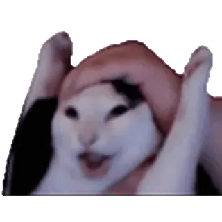 🤩