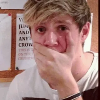 🌿 Niall Horan celebridad, triste, llorando, niall horan, emoción telegram sticker