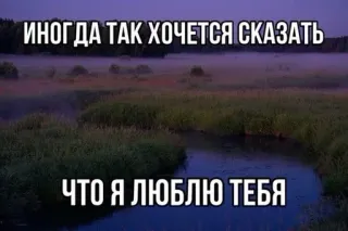 🌟 ИНОГДА ТАК ХОЧЕТСЯ СКАЗАТЬ
ЧТО Я ЛЮБЛЮ ТЕБЯ 사랑, 강, 자연, 러시아어, 텍스트 whatsapp sticker