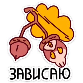 🌰 ЗАВИСАЮ Eichel, Eiche, Russisch, Aufkleber whatsapp sticker