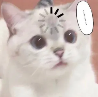 ⁉️ ........... gato, carregando, esperando, pensando telegram sticker