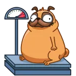 Monchi telegram stickers